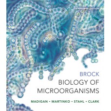 Test Bank for Brock Biology of Microorganisms, 13E Michael T. Madigan
